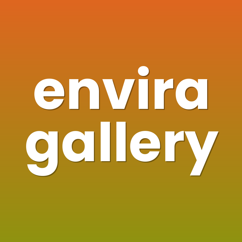 envira gallery