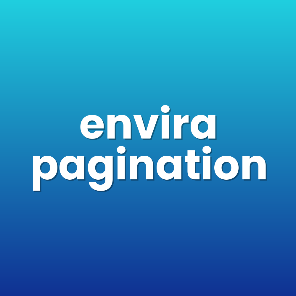 envira pagination