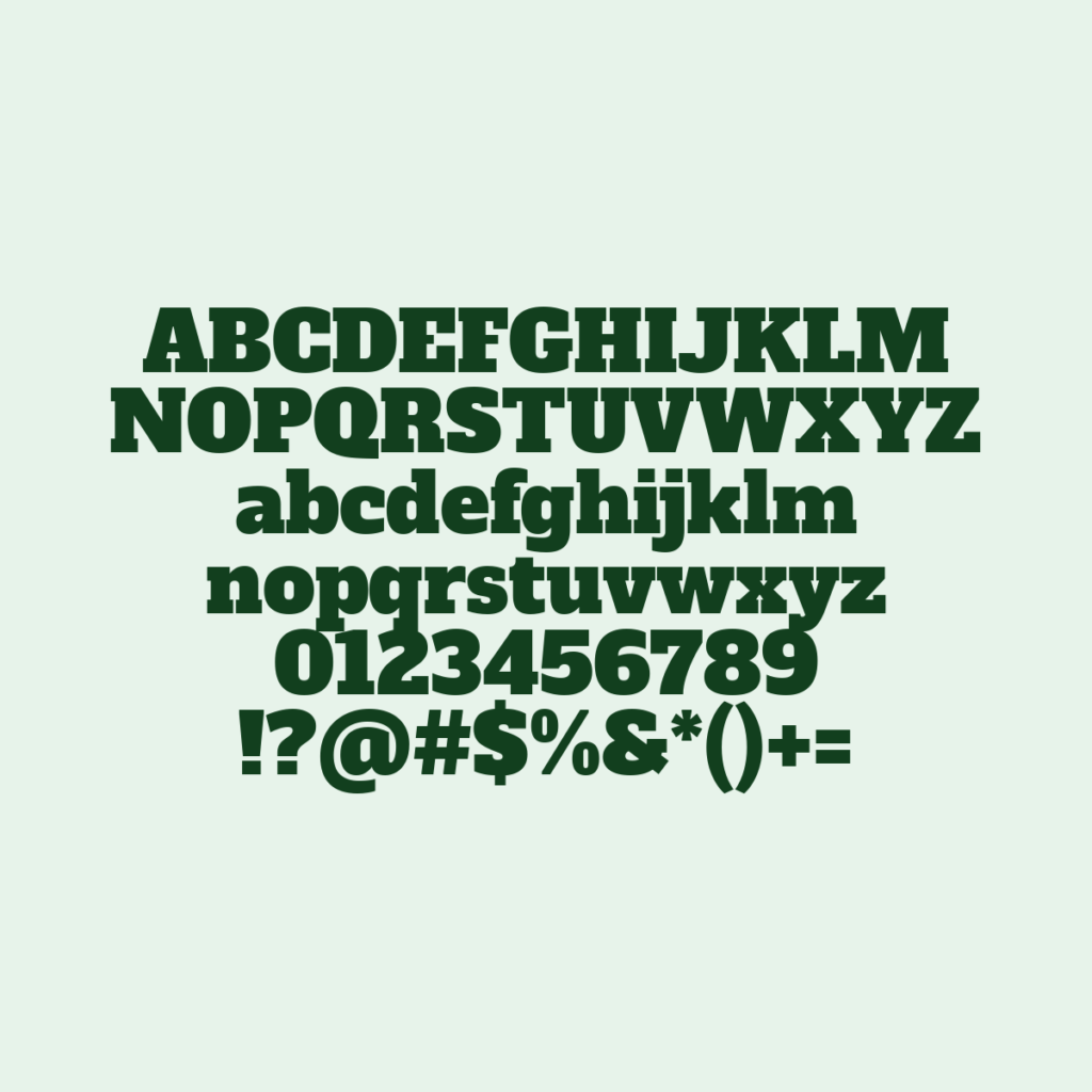 AlfaSlabOne Regular
