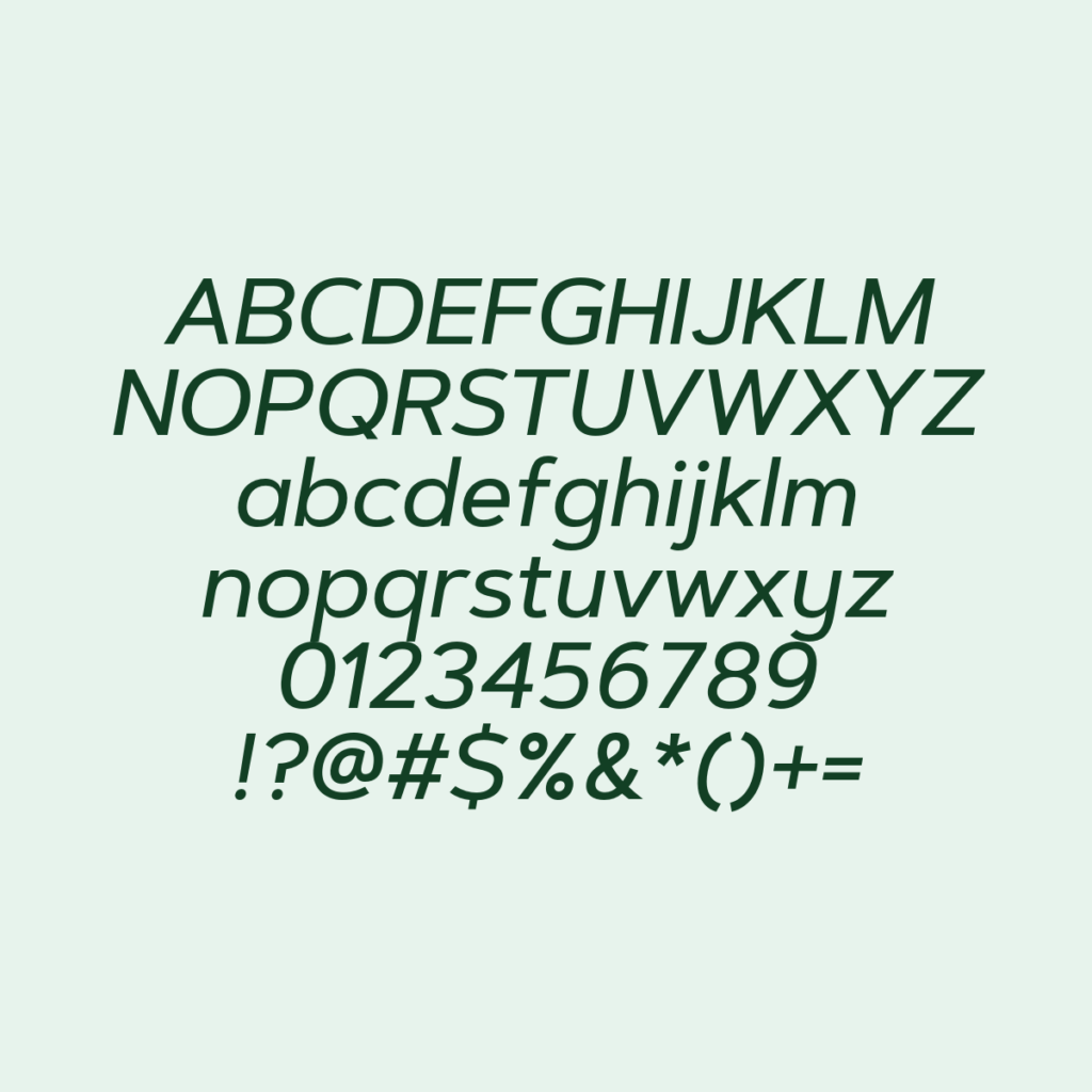 ArtegraSansAlt MediumItalic