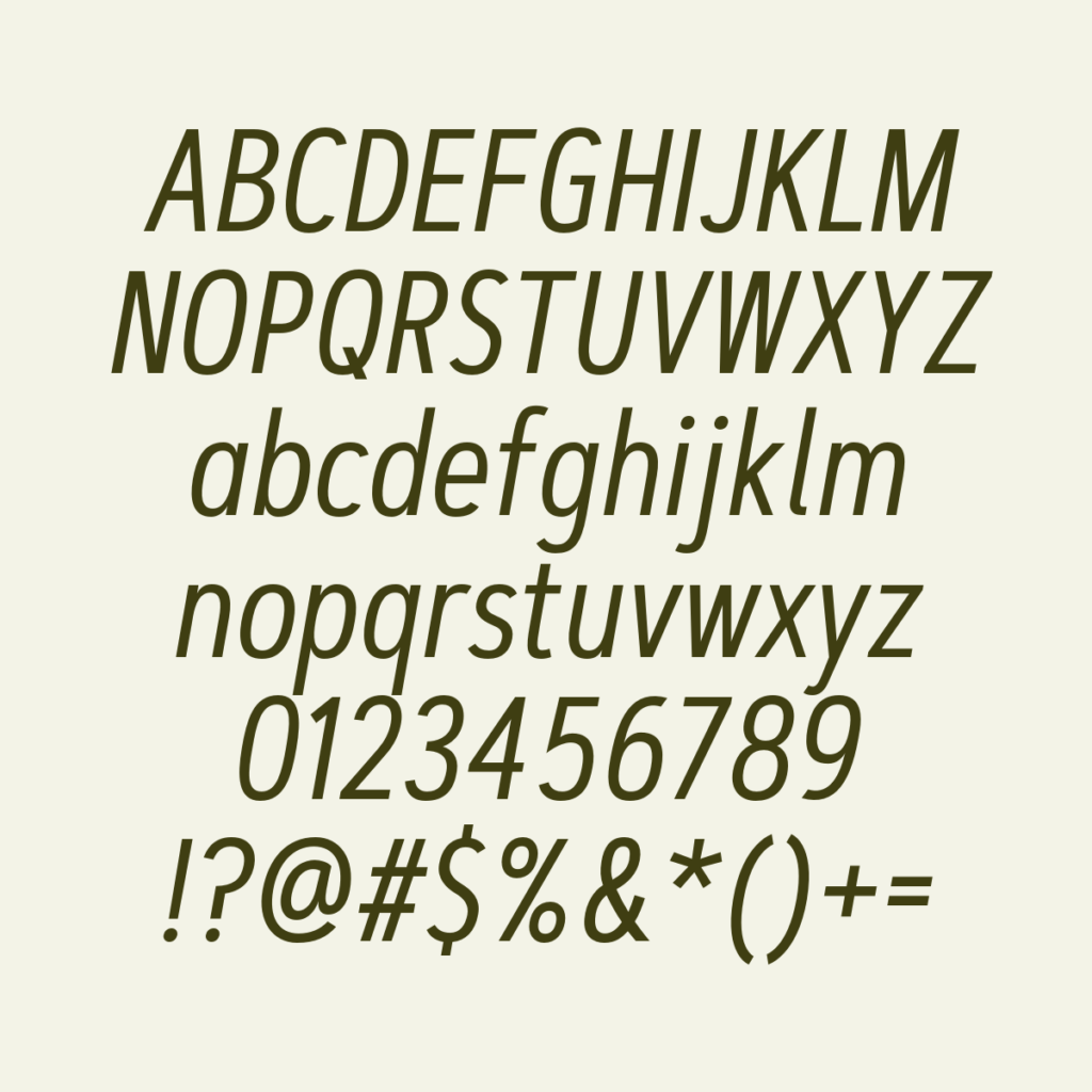 ArtegraSansCondensed Italic