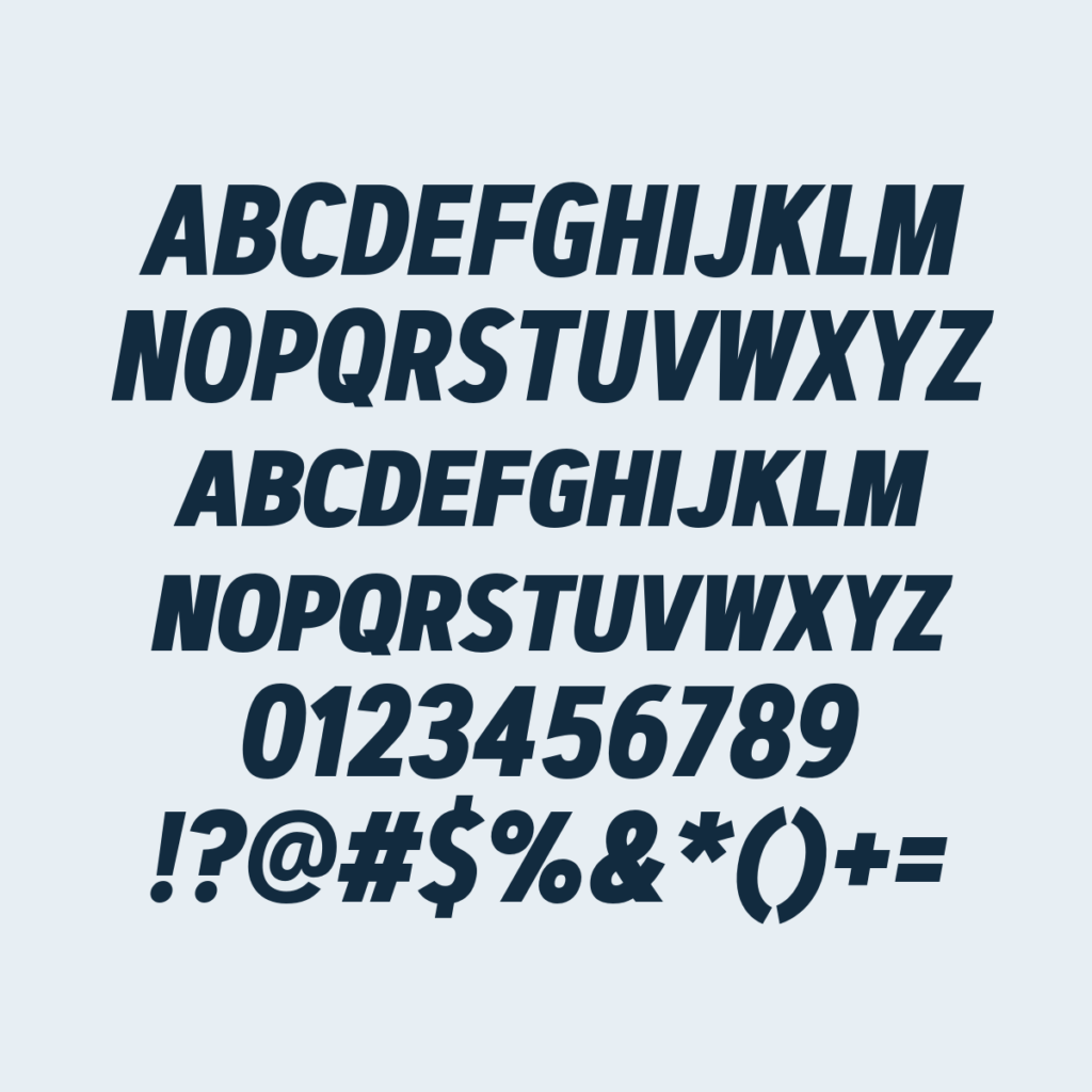 ArtegraSansCondensedSC BdIt