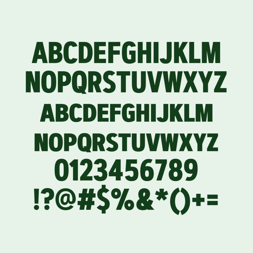 ArtegraSansCondensedSC Bold
