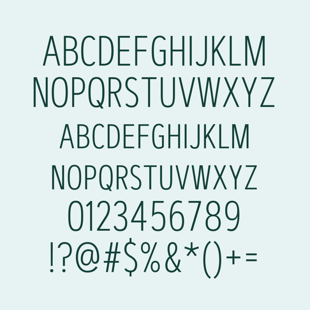 ArtegraSansCondensedSC ExtLt