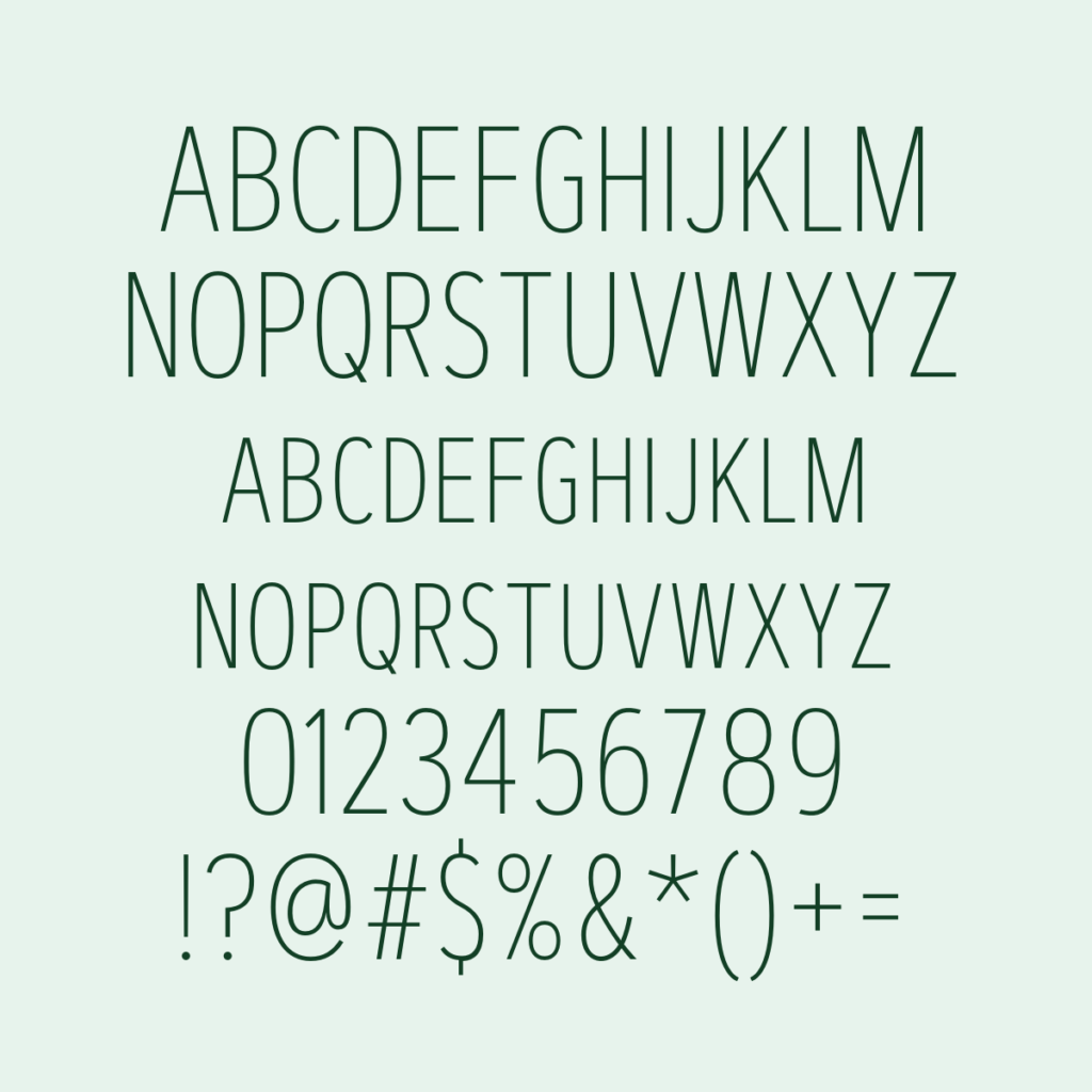 ArtegraSansCondensedSC Thin