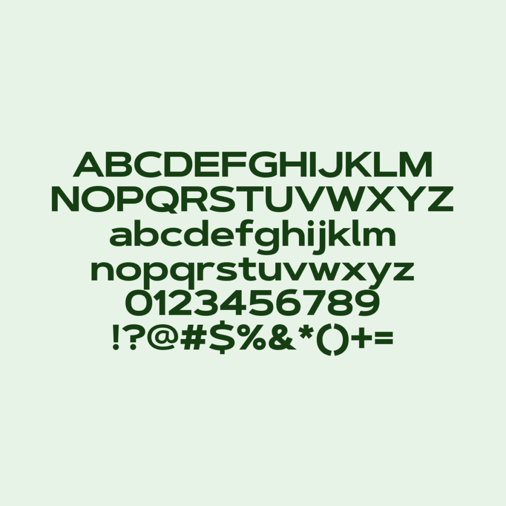 ArtegraSansExtended Bold