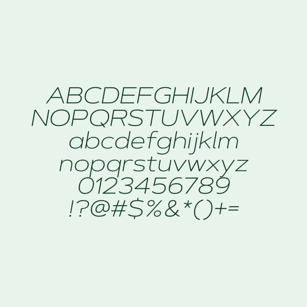 ArtegraSansExtended ExtLt1