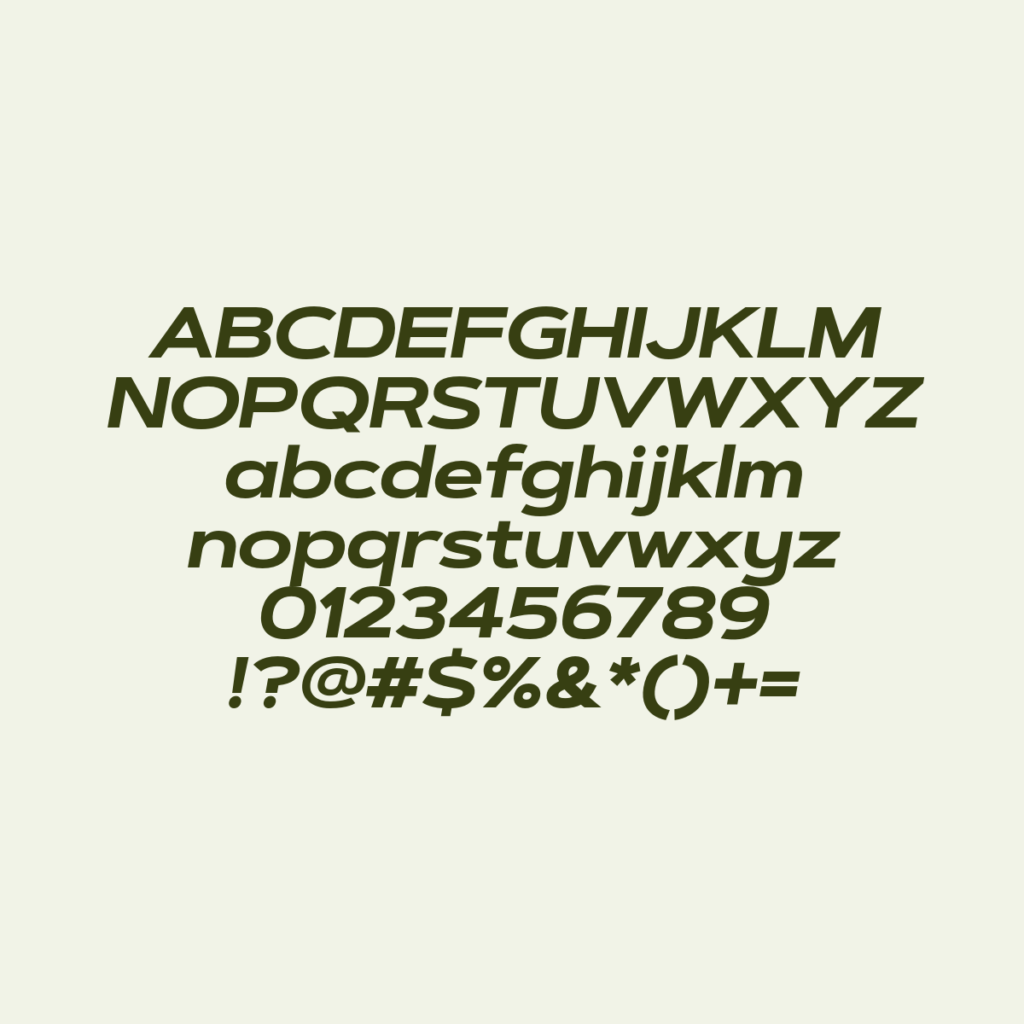 ArtegraSansExtendedAlt BdIt