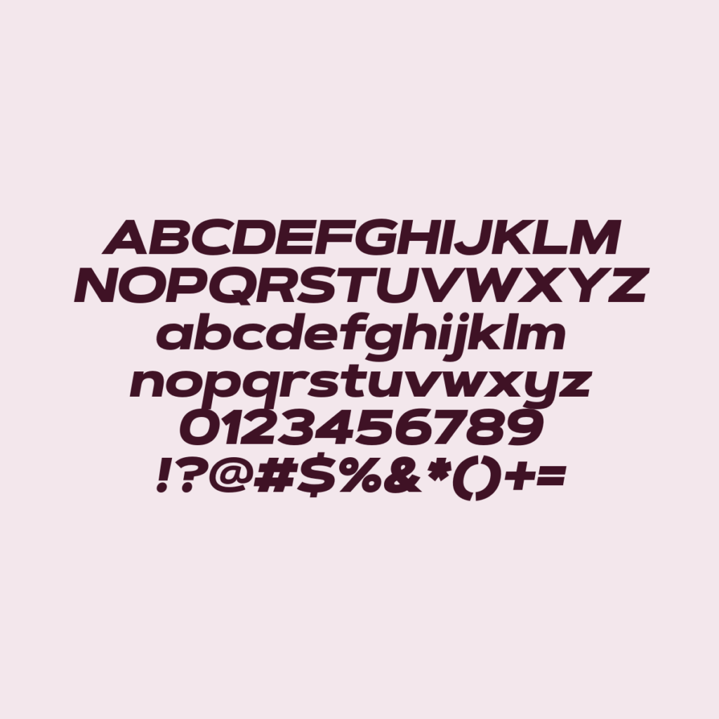 ArtegraSansExtendedAlt BlkIt