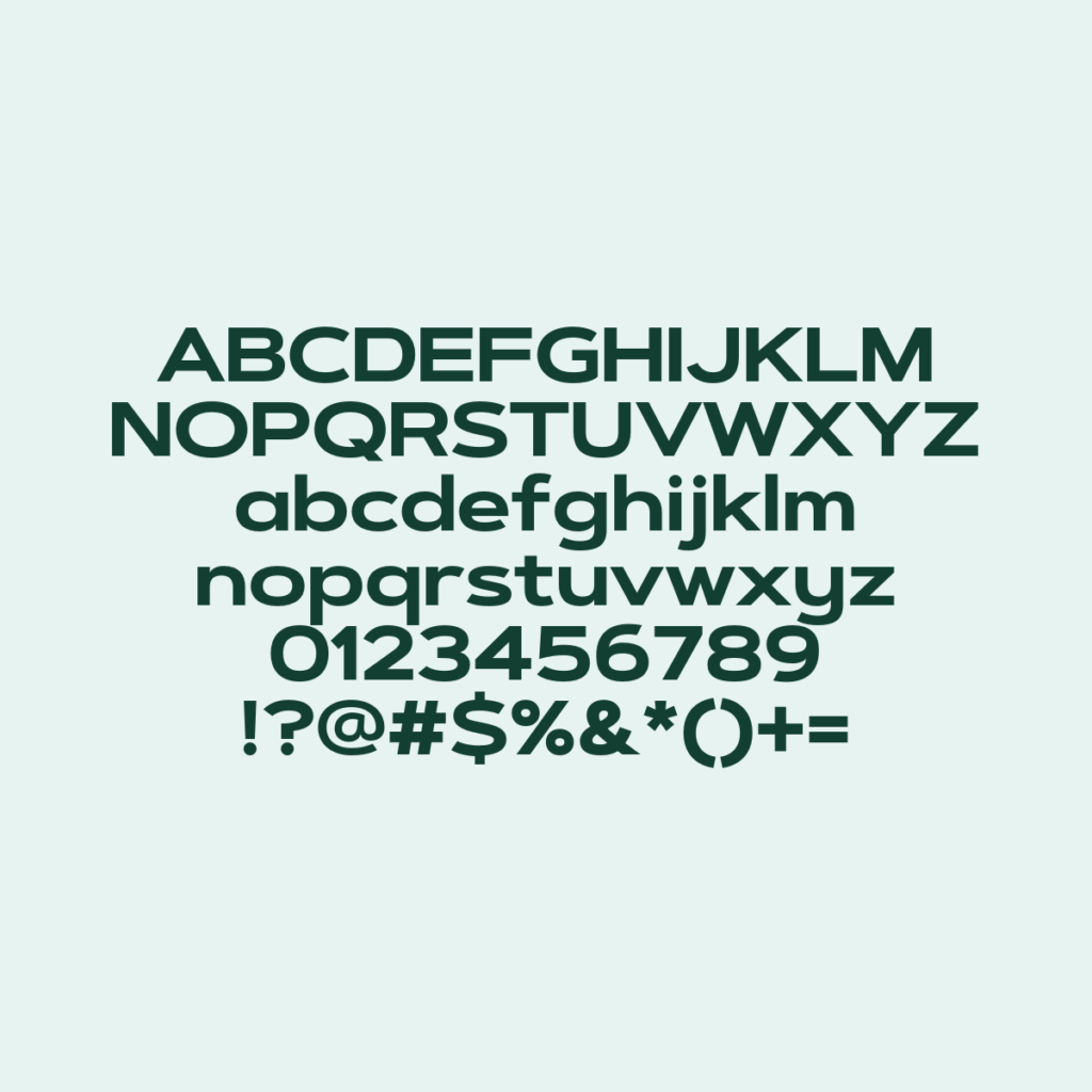 ArtegraSansExtendedAlt Bold