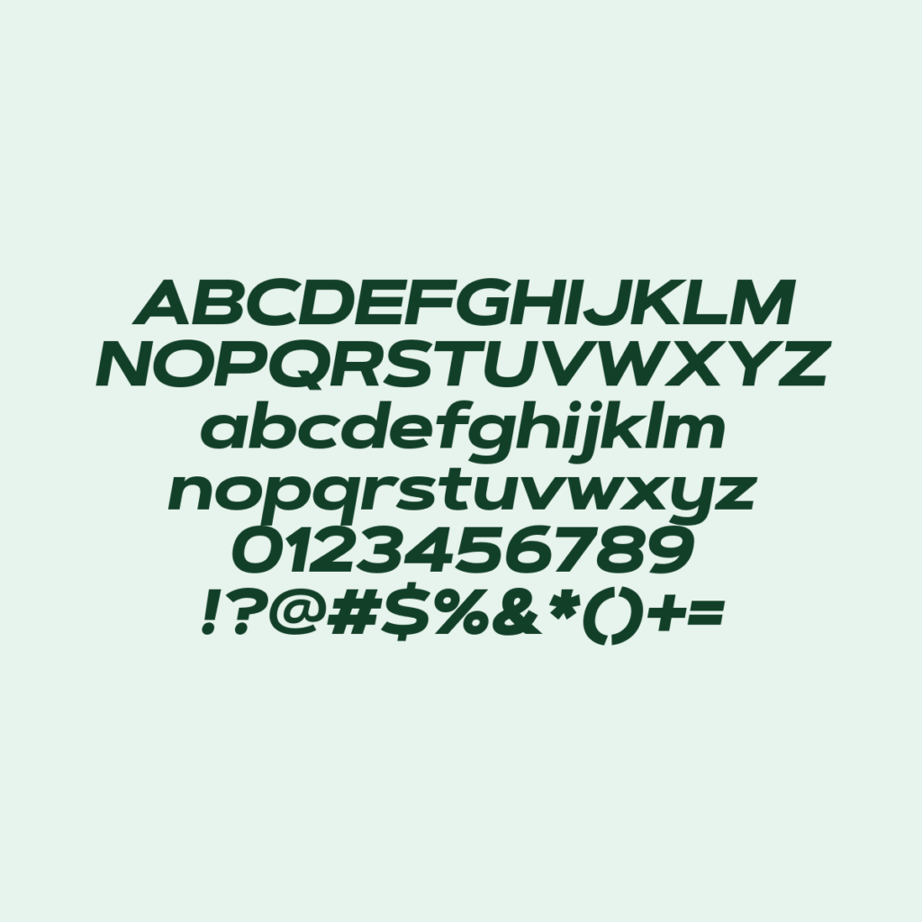 ArtegraSansExtendedAlt ExBdIt