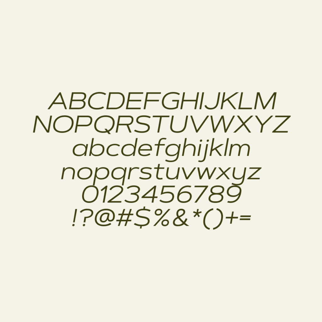 ArtegraSansExtendedAlt Italic
