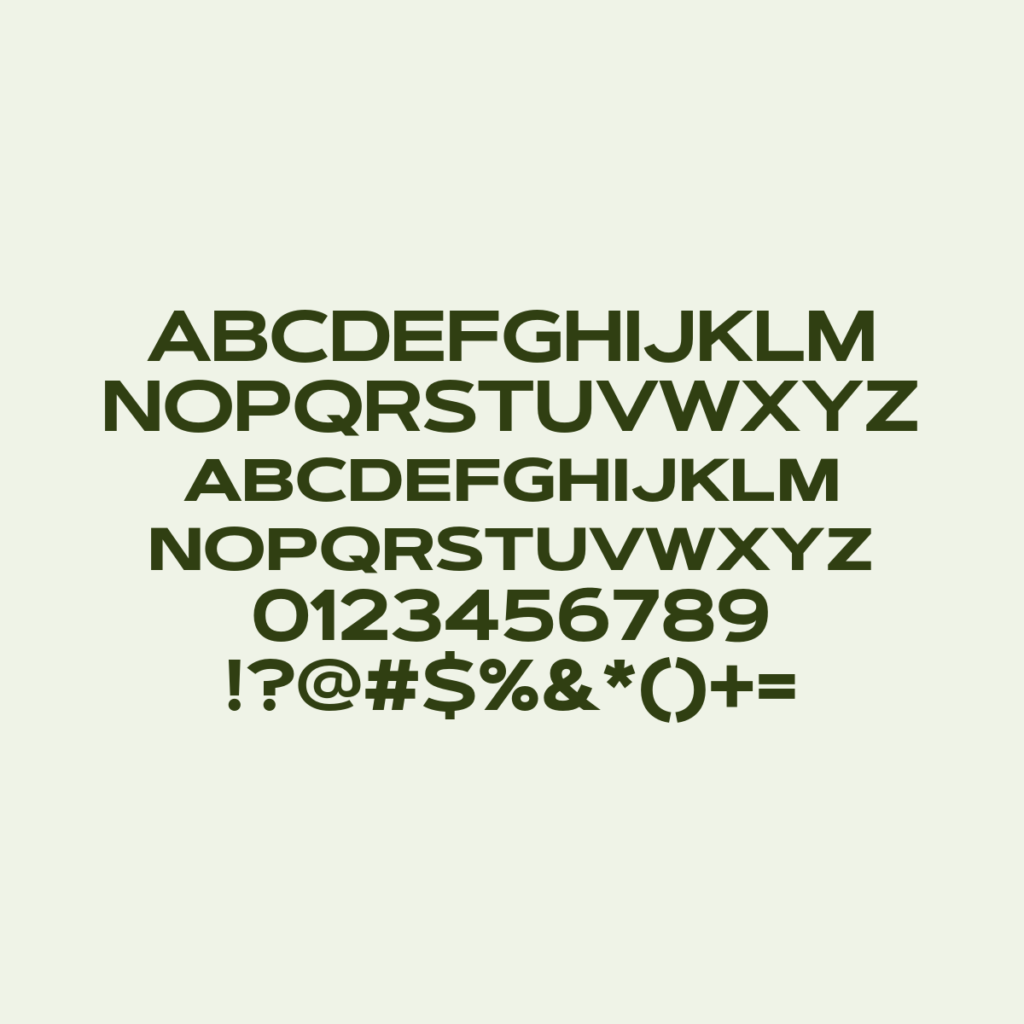ArtegraSansExtendedSC Bold