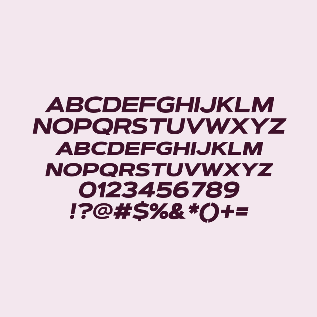 ArtegraSansExtendedSC ExBdIt