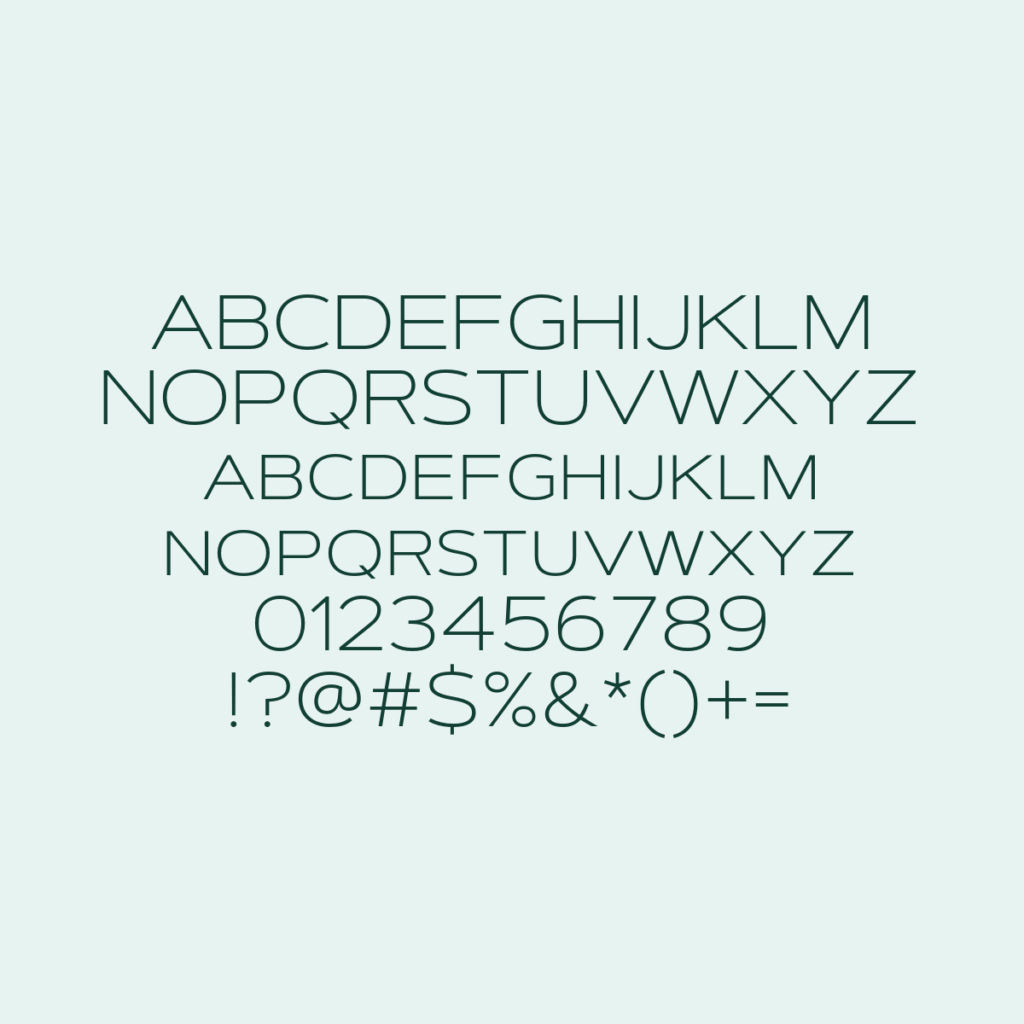 ArtegraSansExtendedSC ExtLt