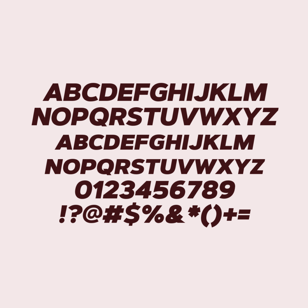 ArtegraSansSC BlackItalic