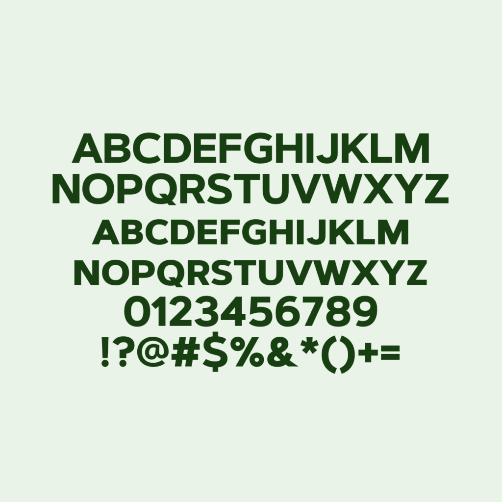 ArtegraSansSC Bold
