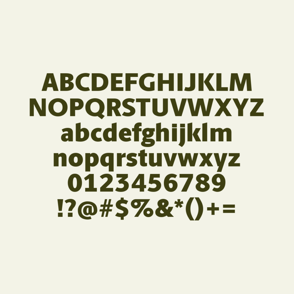BerlingskeSans Blk