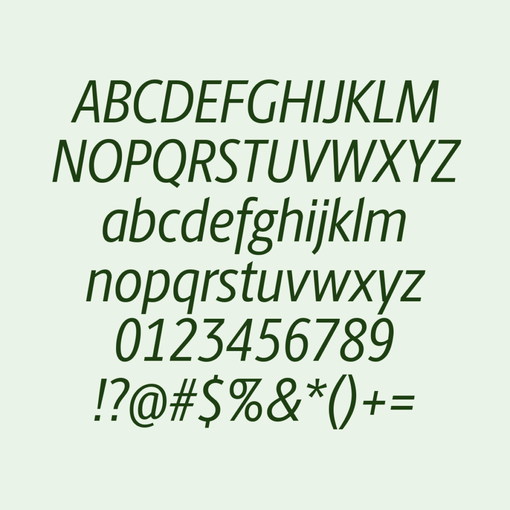 BerlingskeSansCn Italic