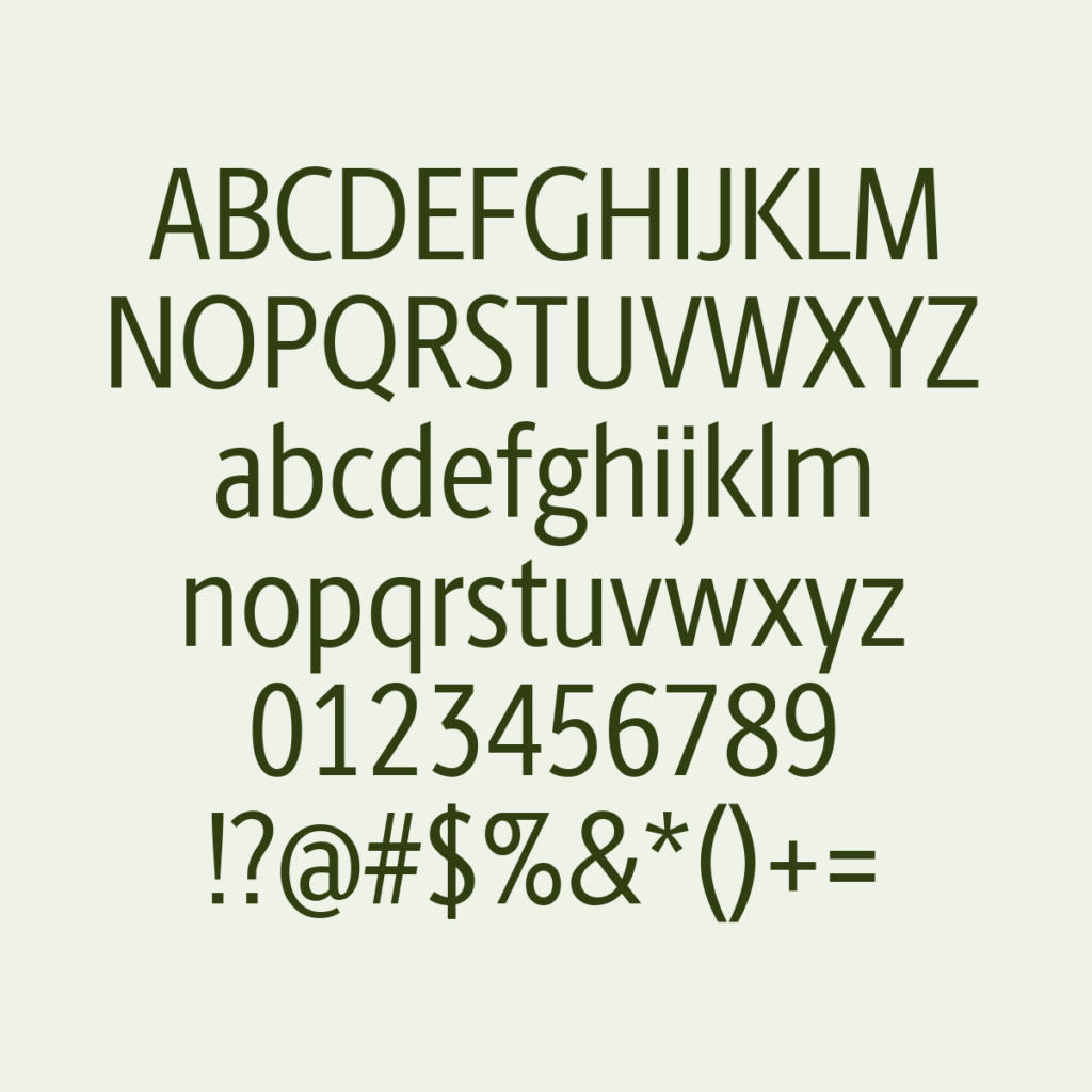 BerlingskeSansCn Regular