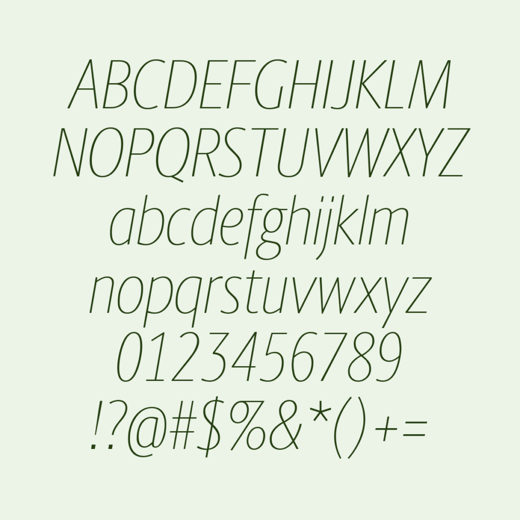 BerlingskeSansCn TnItalic