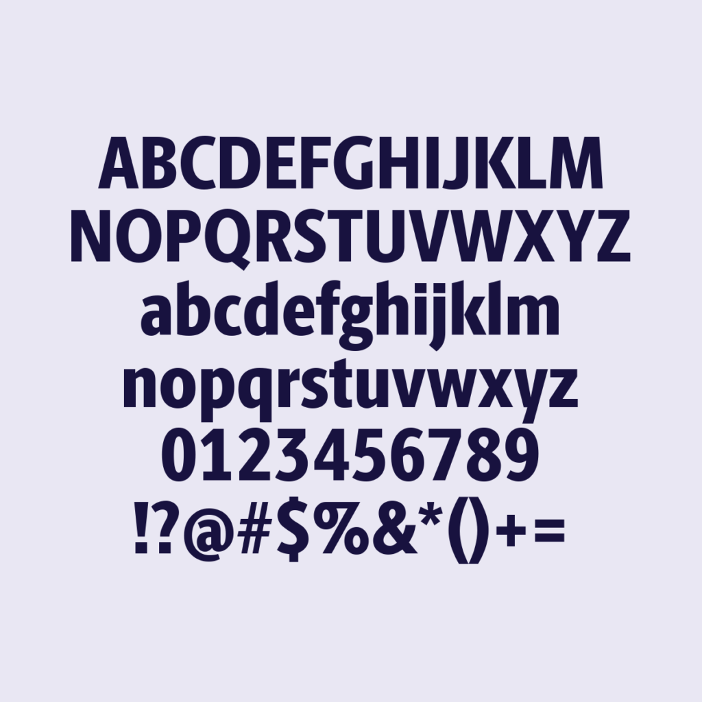 BerlingskeSansCn XBd