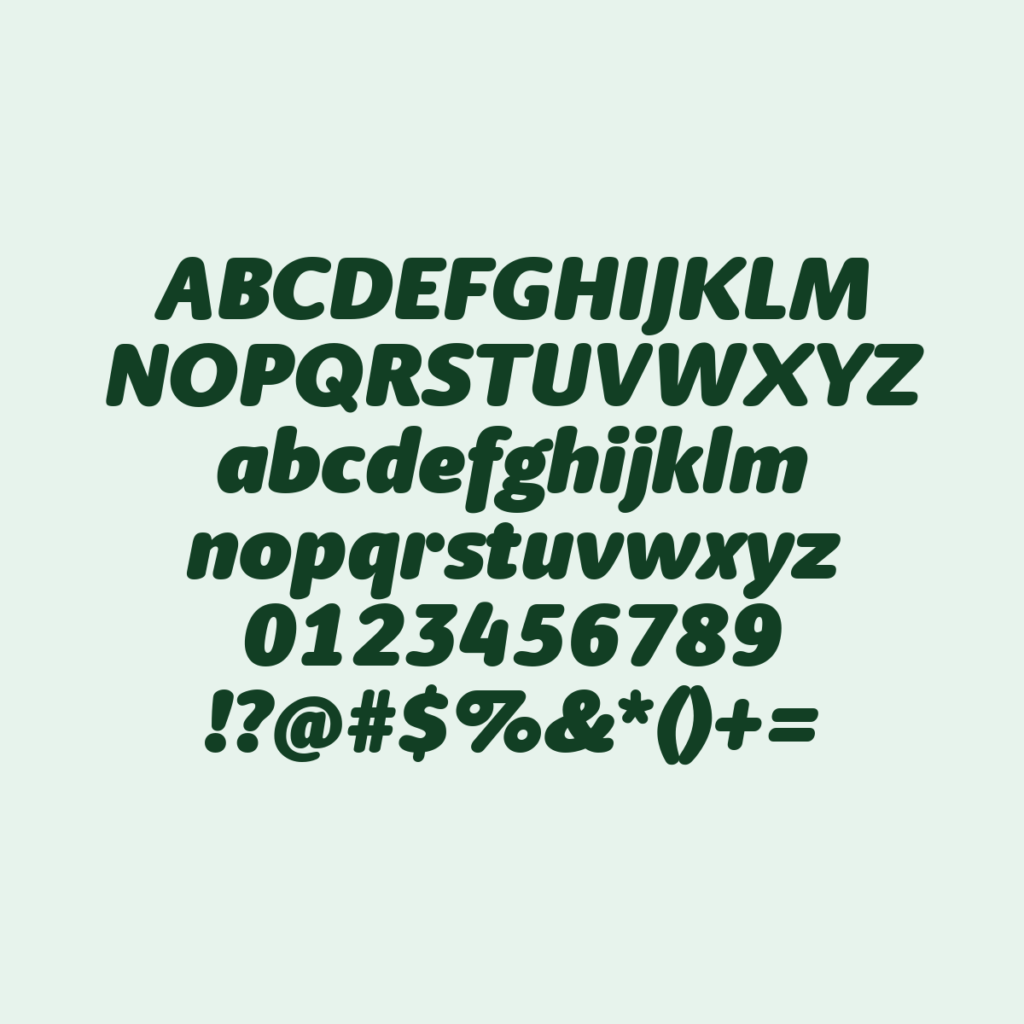 BerlingskeSansRound PstItalic