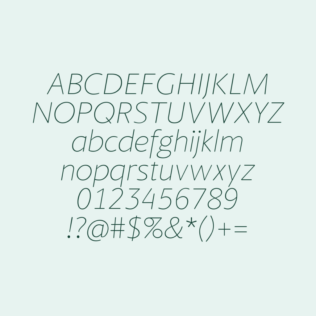 BerlingskeSansRound TnItalic