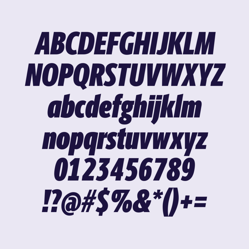 BerlingskeSansXCn BlkItalic