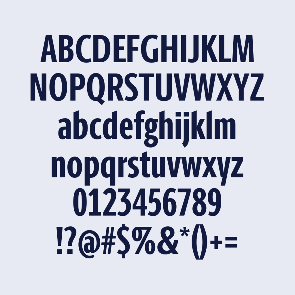 BerlingskeSansXCn Bold