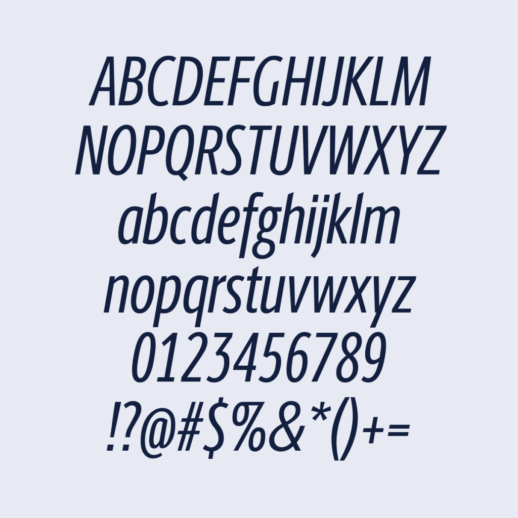 BerlingskeSansXCn Italic
