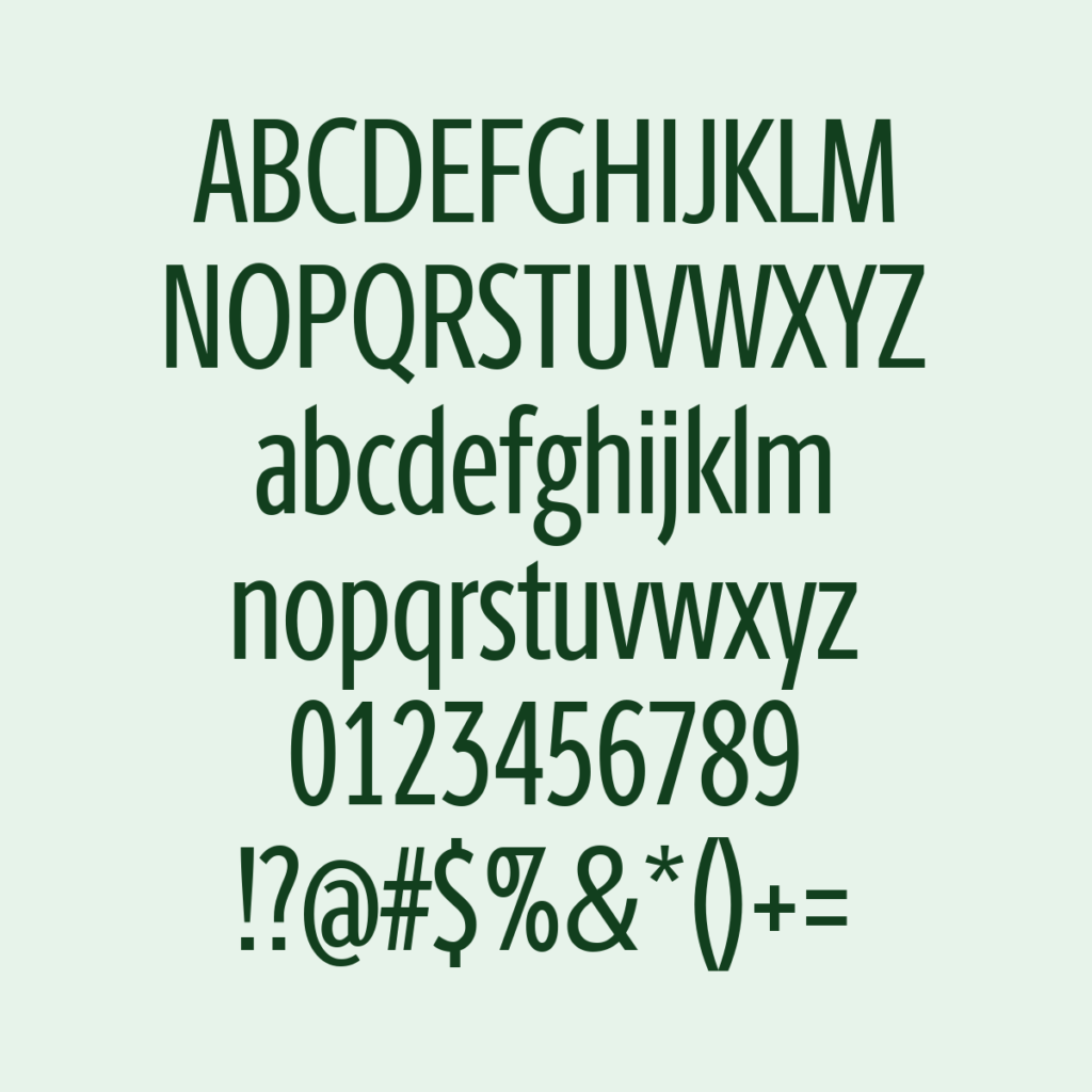 BerlingskeSansXCn Regular