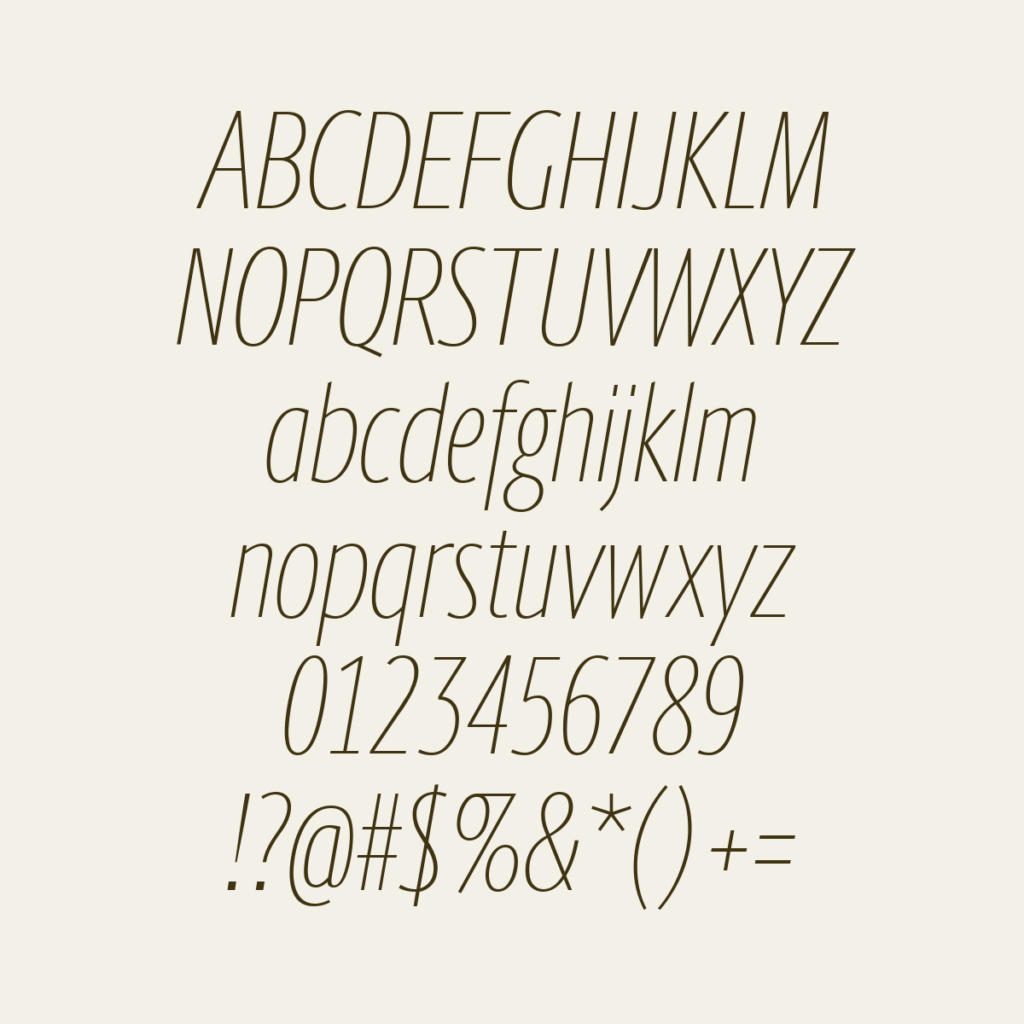 BerlingskeSansXCn TnItalic