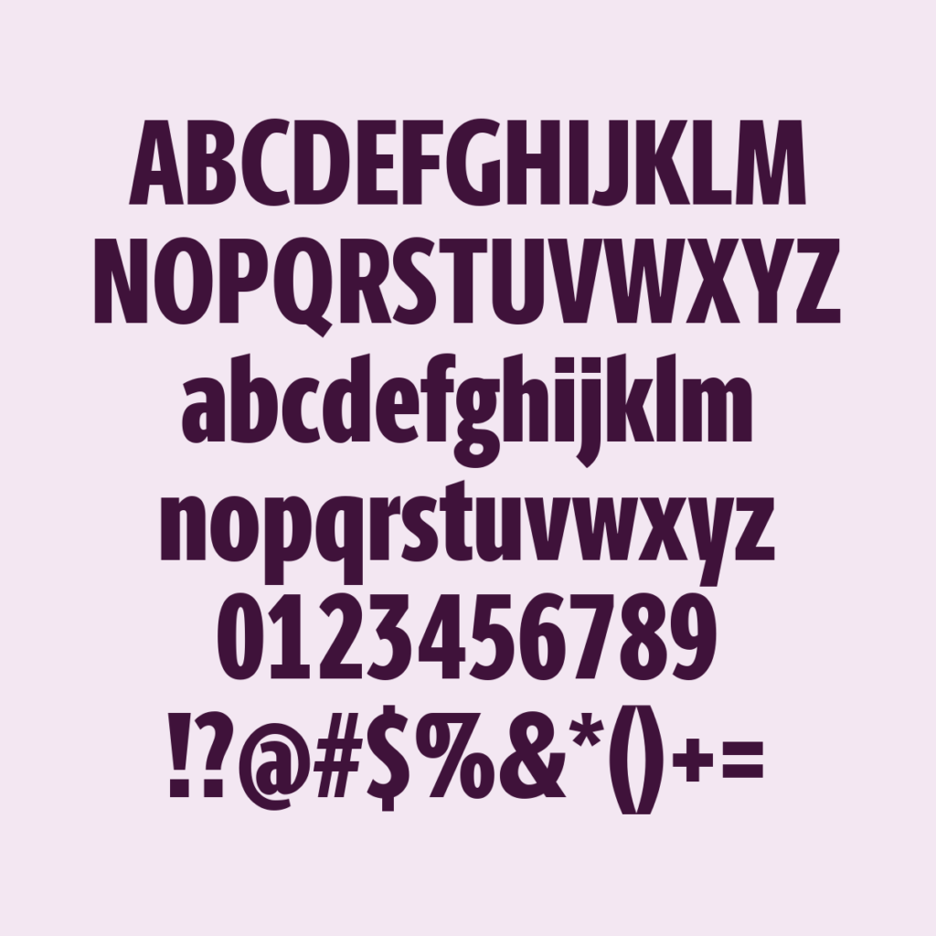 BerlingskeSansXCn XBd