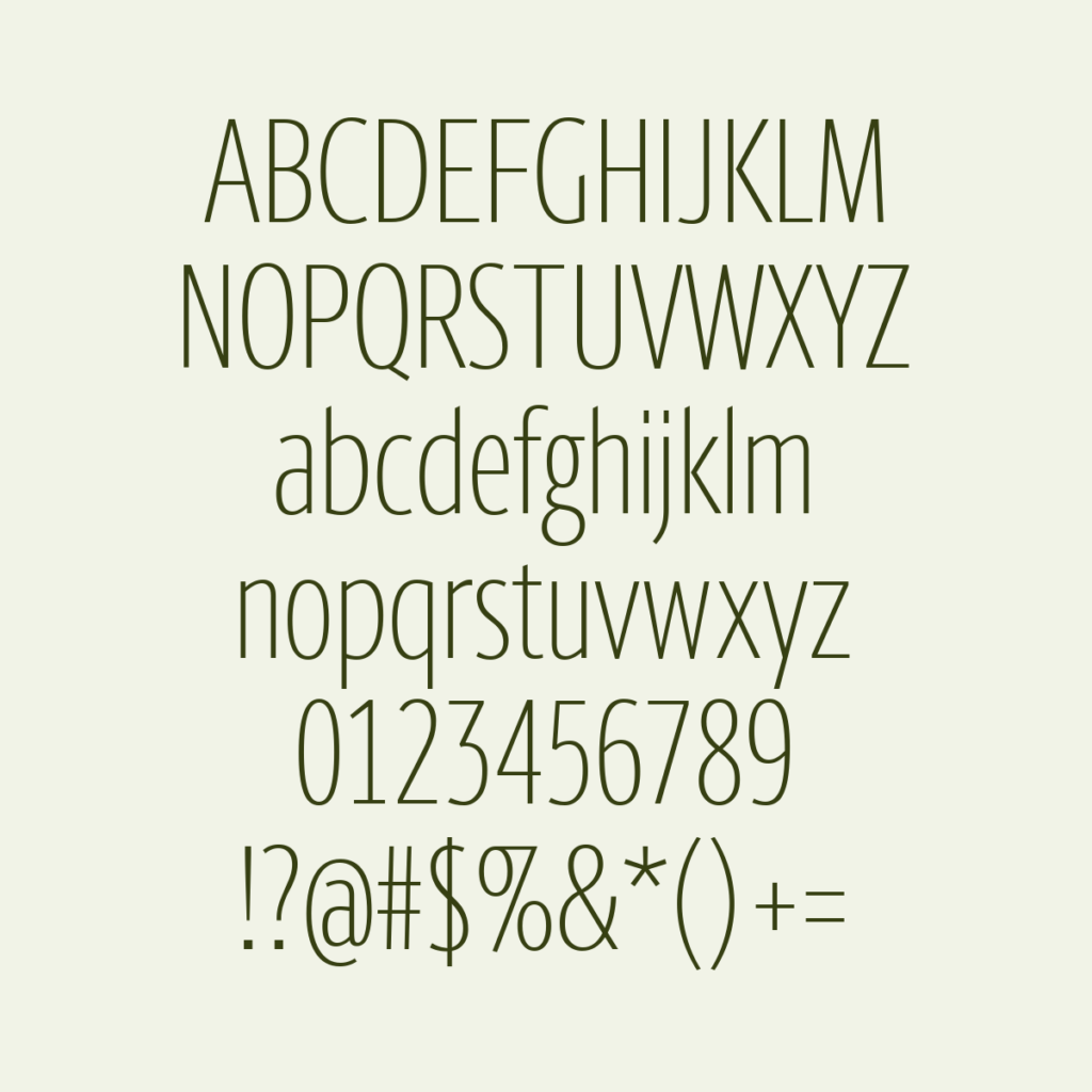 BerlingskeSansXCn XLt