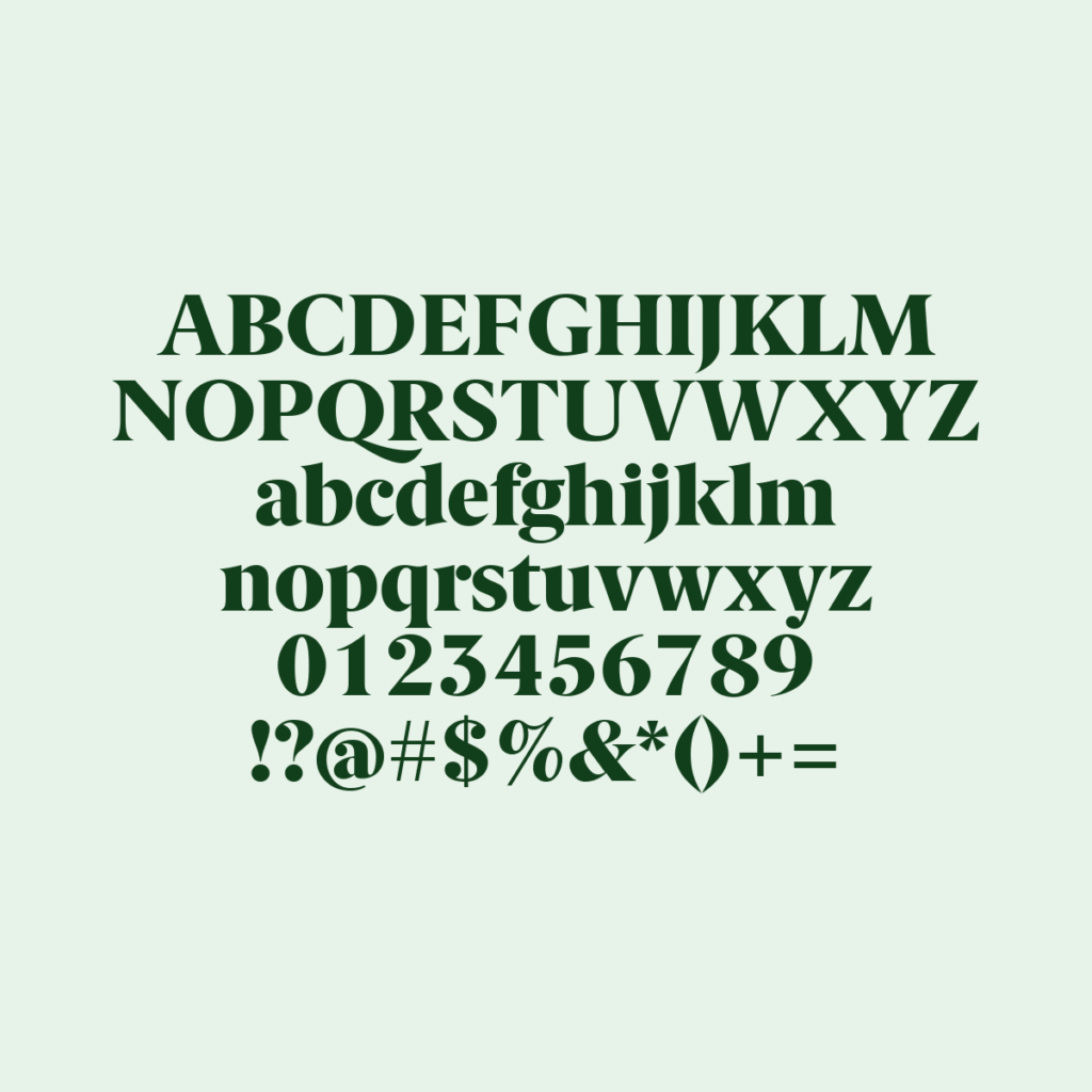 BerlingskeSerif Blk