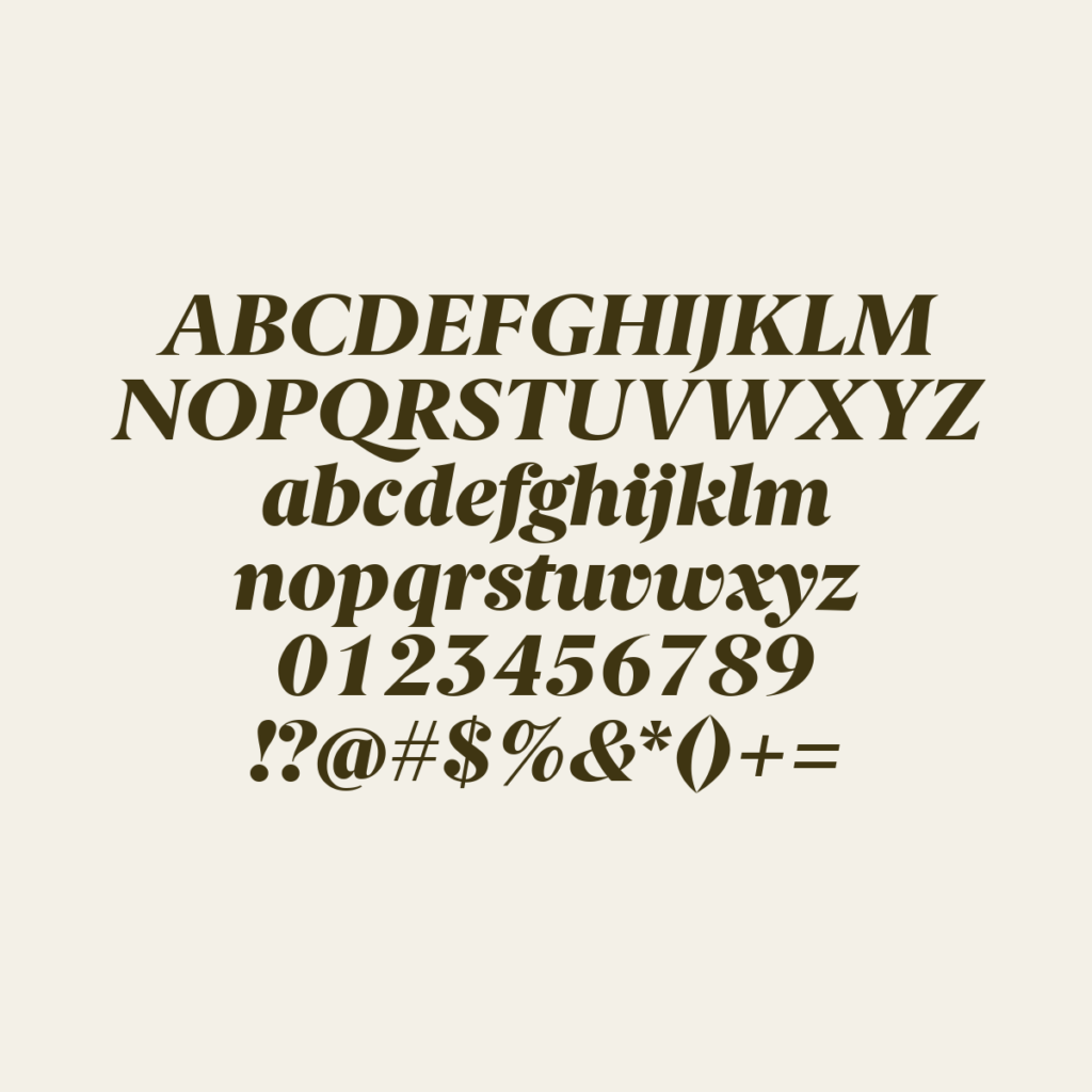 BerlingskeSerif BlkItalic