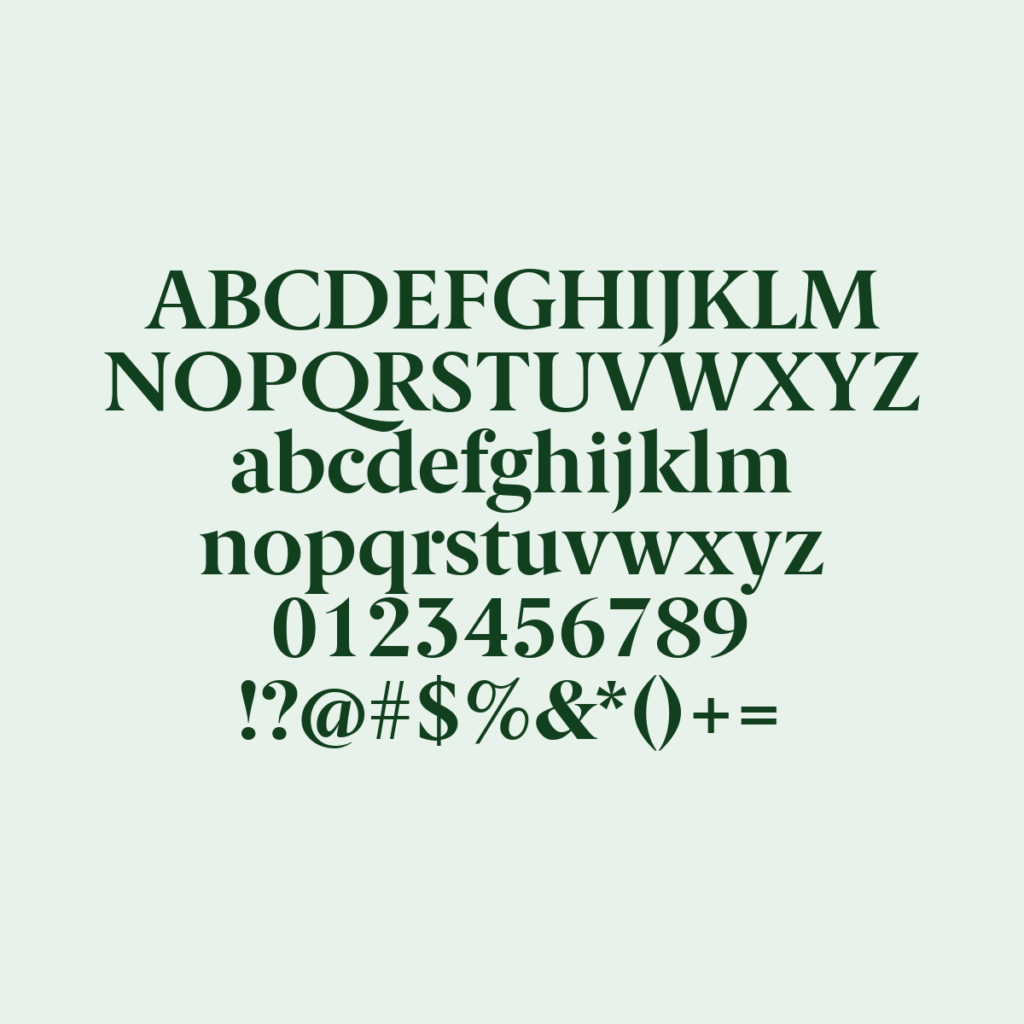 BerlingskeSerif Bold