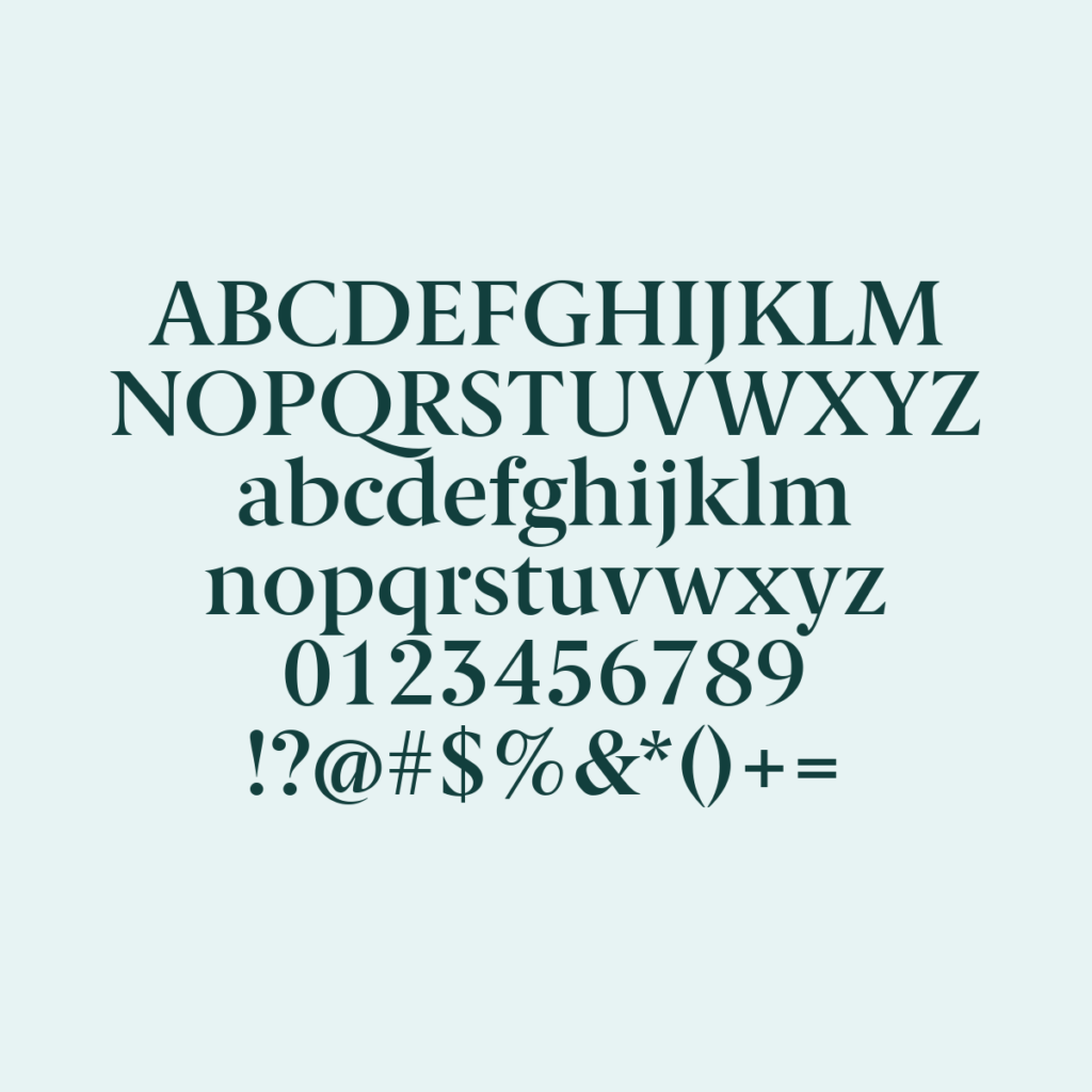 BerlingskeSerif DBd