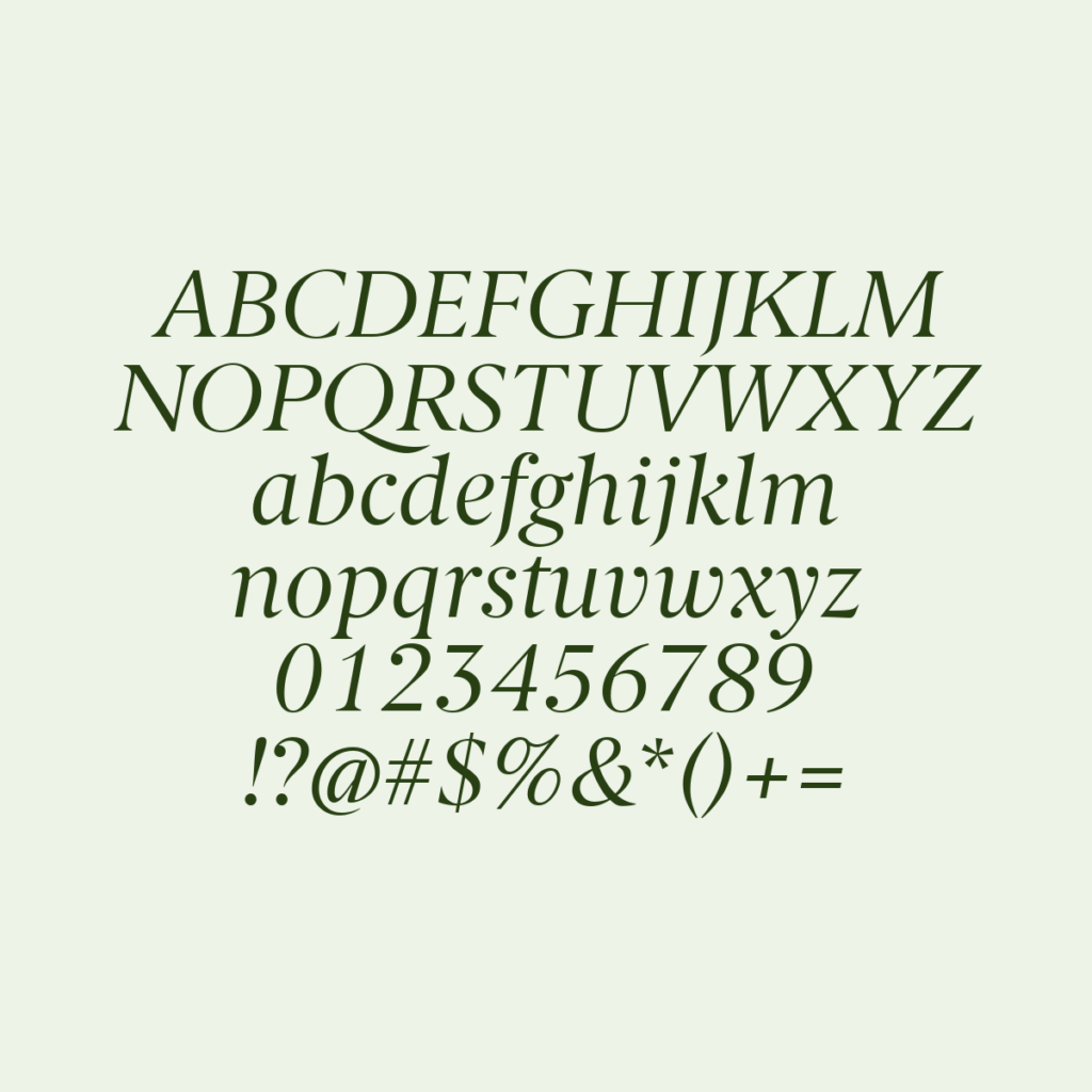 BerlingskeSerif Italic