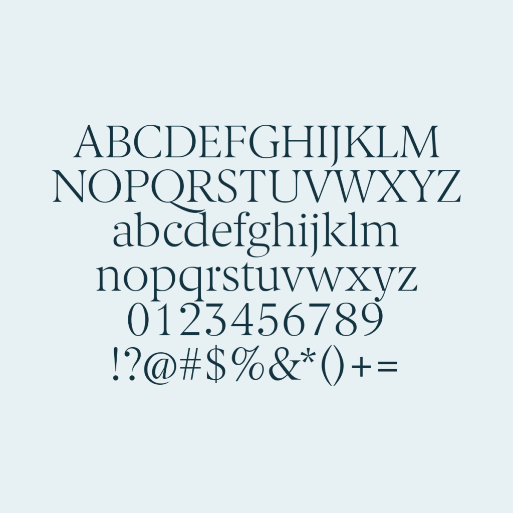 BerlingskeSerif Lt