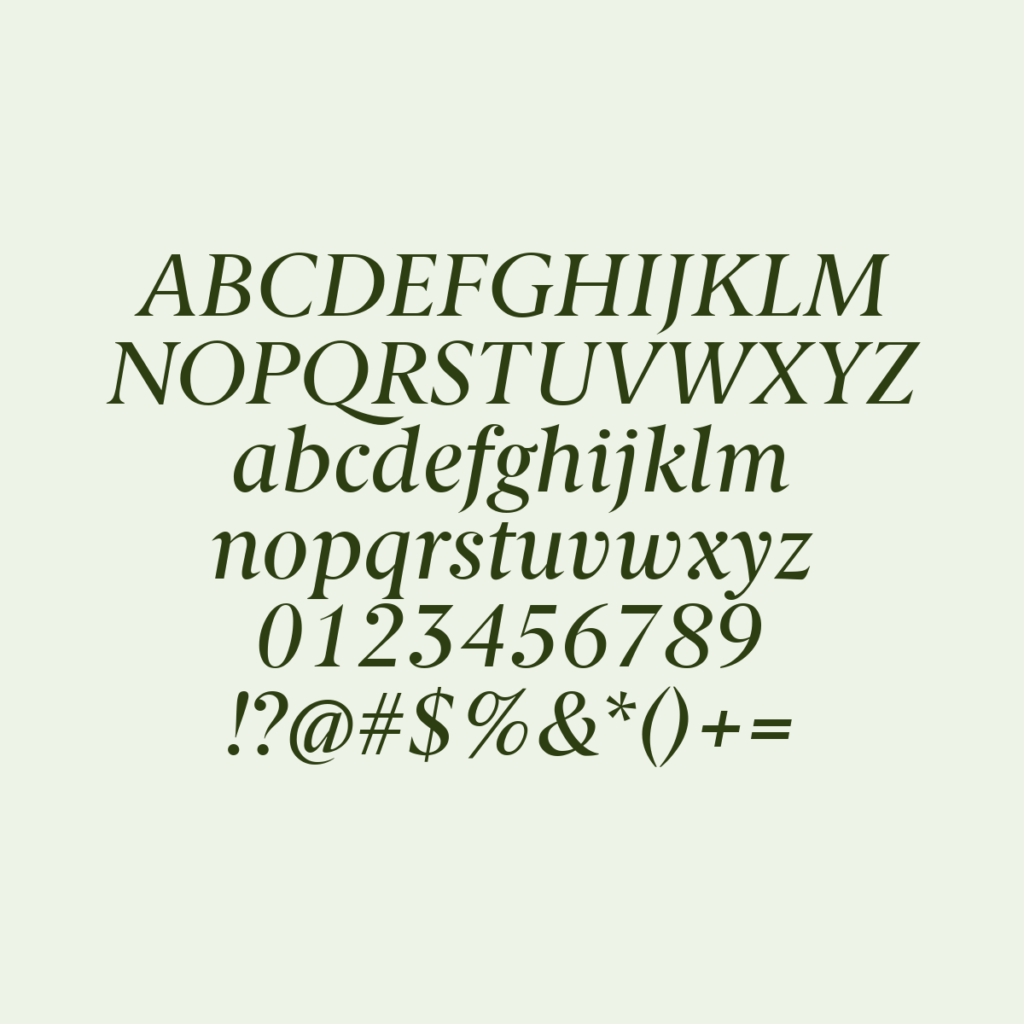 BerlingskeSerif MdItalic