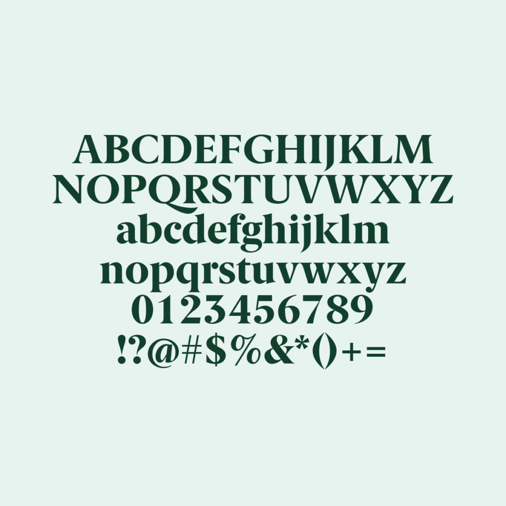 BerlingskeSerif XBd