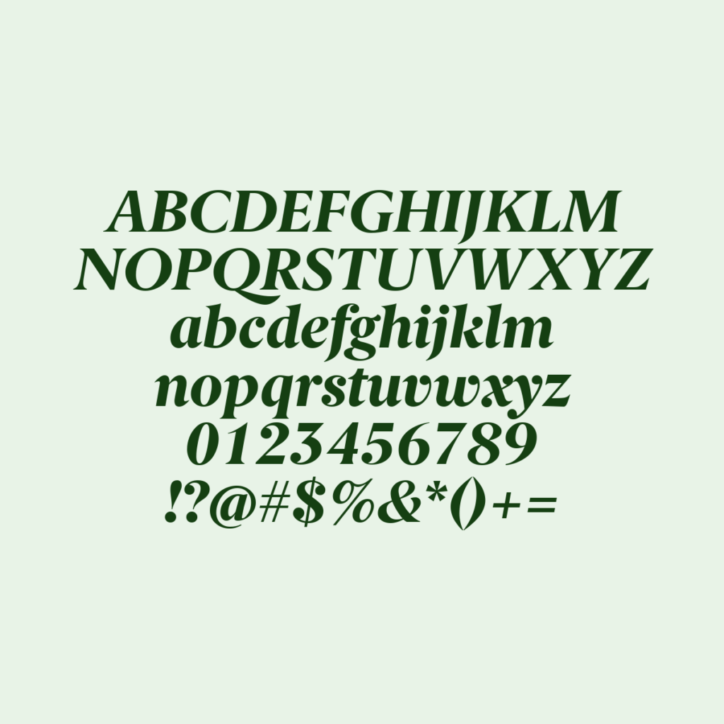 BerlingskeSerif XBdItalic
