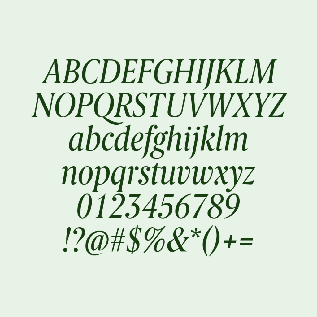 BerlingskeSerifCn Italic