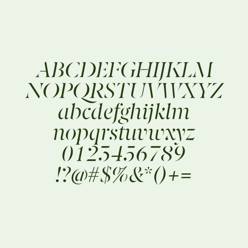 BerlingskeSerifSt Italic