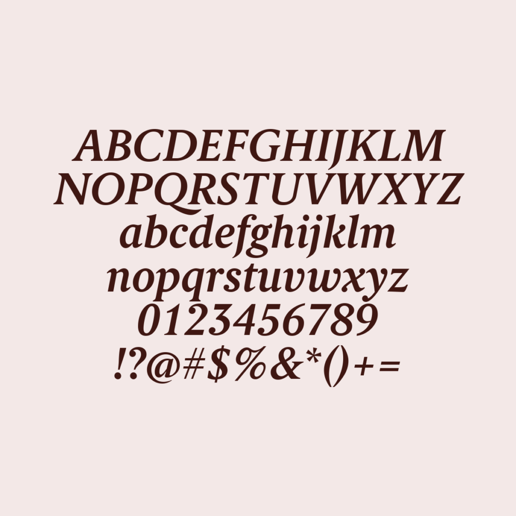BerlingskeSerifTx DBdItalic