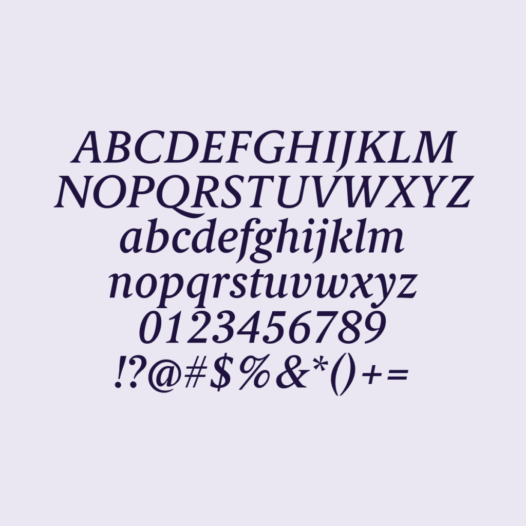BerlingskeSerifTx MdItalic