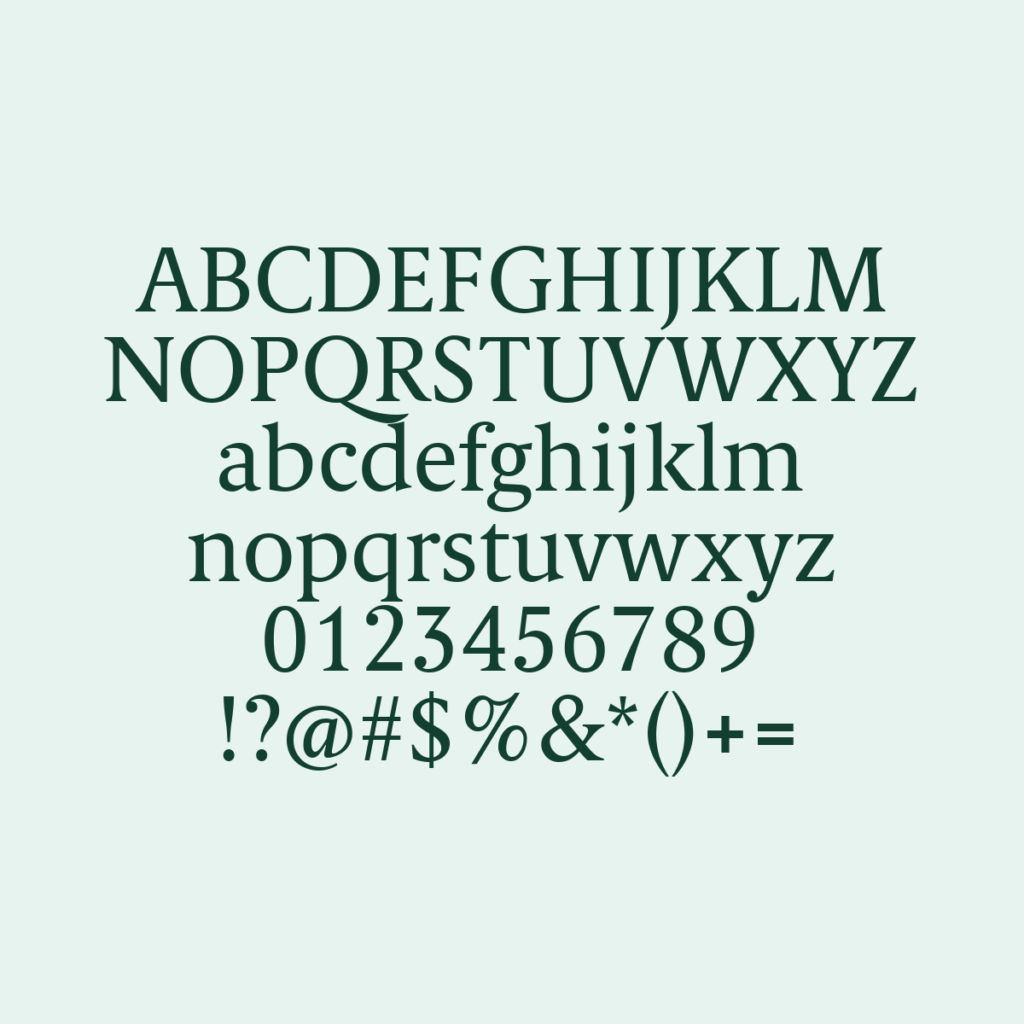 BerlingskeSerifTx Regular