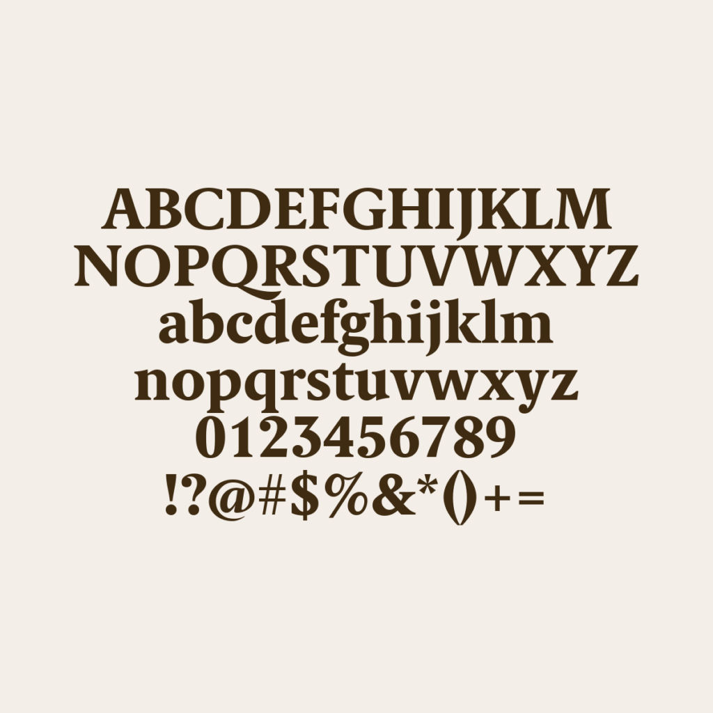BerlingskeSerifTx XBd
